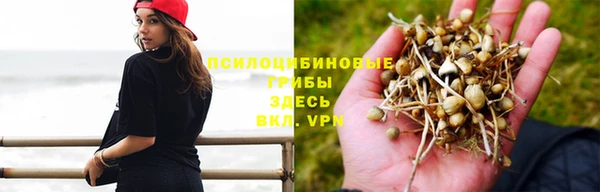 кокс Магадан