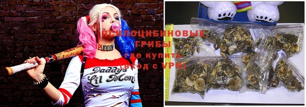 амф Магас