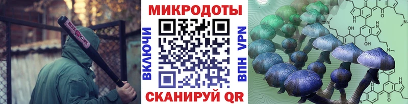 Псилоцибиновые грибы MAGIC MUSHROOMS  Чегем 